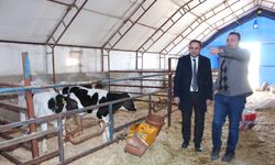 Nevşehir’de Robotik Sağım ve GES ile Çalışan Süt Çiftliği Örnek Oldu