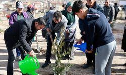 Nevşehir’de Binlerce Fidan Toprakla Buluştu