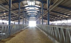 TKDK Desteğiyle Nevşehir Hacıbektaş’ta AB Standartlarında Süt Üretim Tesisi Kuruldu