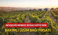 Nevşehir Boğaz Köyü’nde Bakımlı Üzüm Bağı Fırsatı