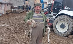 Nevşehir Gümüşkent’te Ağılı Uçtu, Kuzuları Telef Oldu