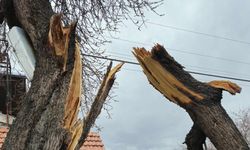 Şiddetli Rüzgâr Nevşehir’i Vurdu: Büyük Hasar Var