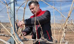 Nevşehir Bağlarında Budama Sezonu Başladı