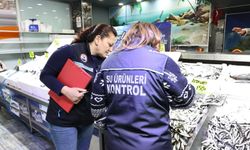 Nevşehir’de balık satış noktalarına sıkı denetim