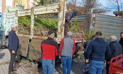 Çat’ta Vatandaşlara Ücretsiz Çam Fidanı Dağıtıldı