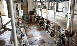 Nevşehir’de Süt Soğutma Tankı Denetimleri Devam Ediyor