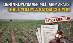 Derinkuyu’da Verimli Tarım Arazisi İhale Yoluyla Satışa Çıkıyor
