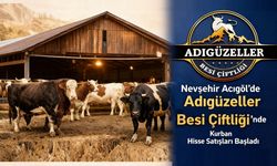Nevşehir’de Kurbanlık Alımı Başladı: Adıgüzeller Besi Çiftliği’nde Satışlar Başladı