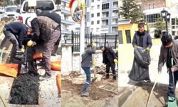 Nar’da Çalışmalar Aralıksız Sürüyor