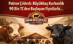 Nevşehir'de Erkar Besi Çiftliği’nde Kurban Hisse Satışları Başladı