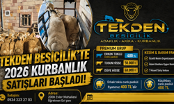 Tekden Besicilik’te 2026 Kurbanlık Satışları Başladı