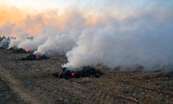 Don Tehlikesi Atlatıldı: Nevşehir’de Ürünler Korundu
