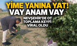 Nevşehirli Tır Şoförünün Ot Toplama Videosu Sosyal Medyayı Salladı