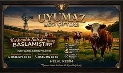 Nevşehir'de Uyumaz Besi Çiftliği’nde Kurbanlık Satışları Başladı