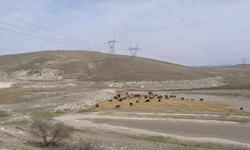 Nevşehir’de Yalıntaş Göleti Kaderine mi Terk Edildi? Proje Ne Oldu?