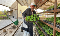Nevşehir Sarıhıdır’da Organik Fide Sezonu Başladı