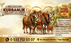 Nevşehir Yağız Besicilik’te Kurbanlık Satışları Başladı