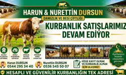 Nevşehir’de Harun & Nurettin Dursun Besi Çiftliği'nde Kurbanlık Satışları Devam Ediyor