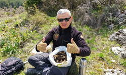 Nevşehir’de Doğanın Altını Kuzu Göbeği Mantarı Bulundu