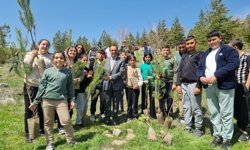 Nevşehir Göre’de Yeşil Gelecek İçin Fidanlar Toprakla Buluştu