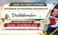 Nevşehir’de 2025 2. Dönem Hayvancılık Destekleri İçin Başvurular Başladı