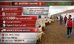 Nevşehir'de Küçükbaş Hayvan Desteğine Kimler Başvurabilir?