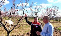 Nevşehir’de Zirai Don Alarmı: Tüm Ekipler Sahada