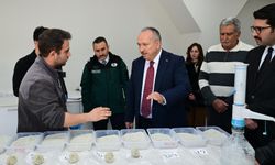 Vali Fidan, İltaş Köyü’nde KB Bentonit Fabrikasını İnceledi