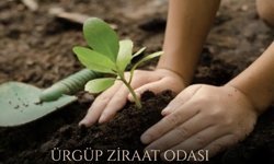 Ürgüp Ziraat Odası’ndan Çiftçilere “Doğru Fidan Dikimi” Uyarısı