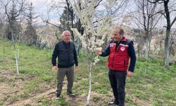 Nevşehir’de Zirai Don Zararı ile Mücadele ve Tespit Çalışmaları Sürüyor
