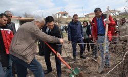 Kozaklı Çağşak Köyü’nde 500 Fidan Toprakla Buluştu