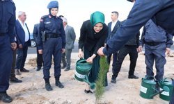 Derinkuyu Şehitler Hatıra Ormanı’na fidan dikildi