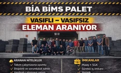 Nevşehir Bia Bims Palet'e çalışma arkadaşları aranıyor