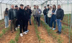 Avanos’ta Örnek Tarım Uygulaması: Öğrenciler Sahada