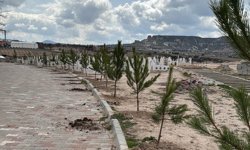 Çat Belediyesi Mezarlıkları Ağaçlandırıyor