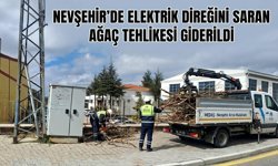 Nevşehir’de Elektrik Direğini Saran Ağaç Tehlikesi Giderildi