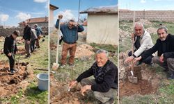 Nevşehir'in Akpınar Köyü’nde İmeceyle Meyve Fidanı Dikildi
