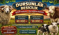 Nevşehir Dursunlar Besi Çiftliği’nde Kurbanlık Satışları Başladı
