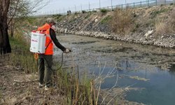 Gülşehir Sadabad Parkı’nda Biyolojik İlaçlama Yapıldı