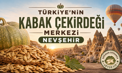 Nevşehir Çerezlik Kabakta Türkiye Lideri Oldu