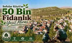 TEMA Vakfı’ndan Nevşehir Sofular’da 50 Bin Fidanlık Dev Proje