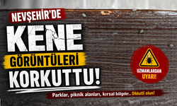 Nevşehir’de O Parkı Keneler Bastı...