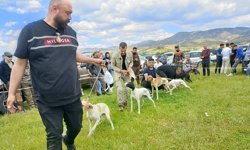 Avcılar ve Av Köpekleri Kapadokya’da Buluşuyor