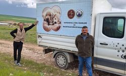 Nevşehir’de sahipsiz köpekler toplanıyor