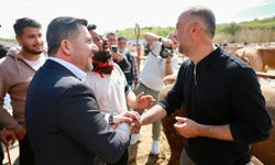 Nevşehir'de Vatandaşın Kurban Pazarlığı Belediye Başkanı Arı'dan