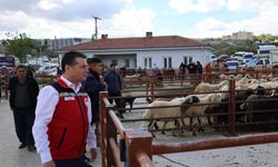 Nevşehir Hayvan Pazarı'nda arife günü yoğunluğu