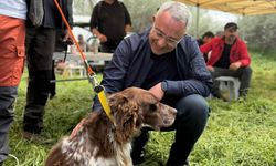 Kapadokya'nın şemsiyesi 'Açıksaray' Vadisi’nde Av Köpekleri Yarıştı