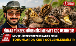 Nevşehirli Ziraat Mühendisi Mehmet Koç’tan Kabak Üreticilerine Kritik Uyarı