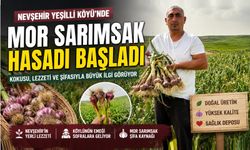 Nevşehir Yeşilli Köyü’nde Mor Sarımsak Hasadı Başladı