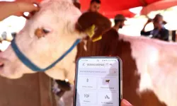 Nevşehir’de 2026 Kurban Satış ve Kesim Yerleri Açıklandı
